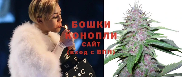амф Аркадак