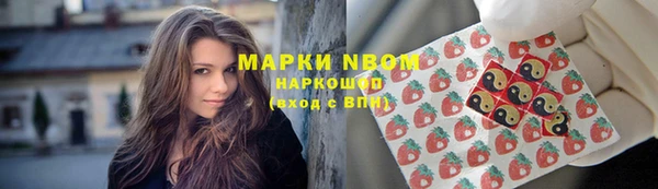 амф Аркадак