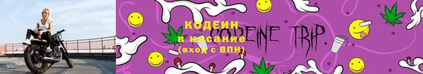 амф Аркадак